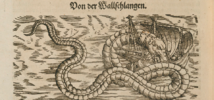 SpezTh Schlangen.png